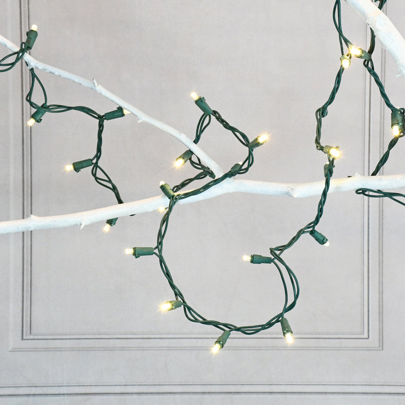 Battery Operated LED Mini String Lights, Warm White