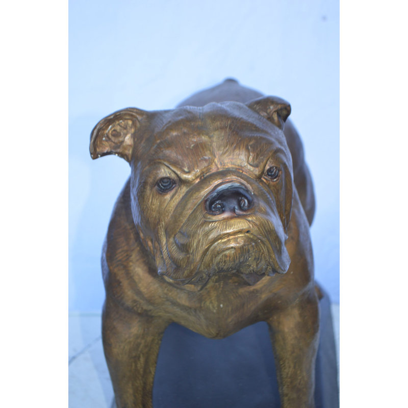 Statue de bouledogue en bronze Norgard montée sur une base - Taille: L 32 po x l 10 po x H 21 po.