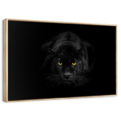 Rare Black Panther