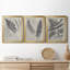 «Vintage Fern Study II», ensemble de 3 reproductions d'art sur toile-2145942593-2145942620