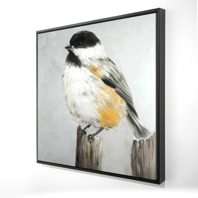 " Coal Tit Bird "