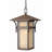 Harbor 1 -Bulb 19" H Outdoor Hanging Lantern-306585864