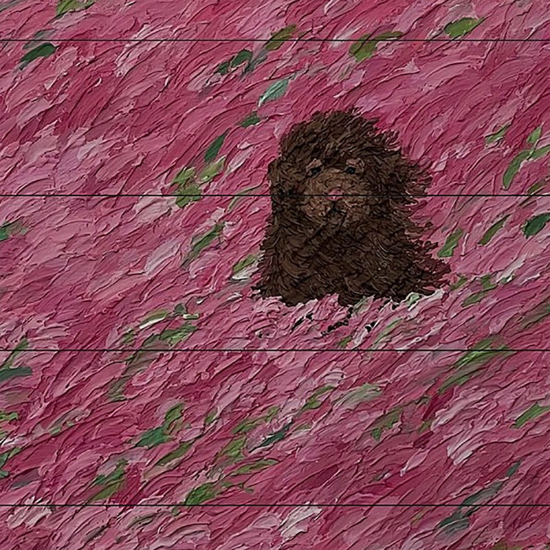 Celentano