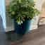 Photos des clients 1 de 1