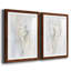 Soft Shell I - ensemble de 2 reproductions d'art-1498154629-1498154631-1498154640