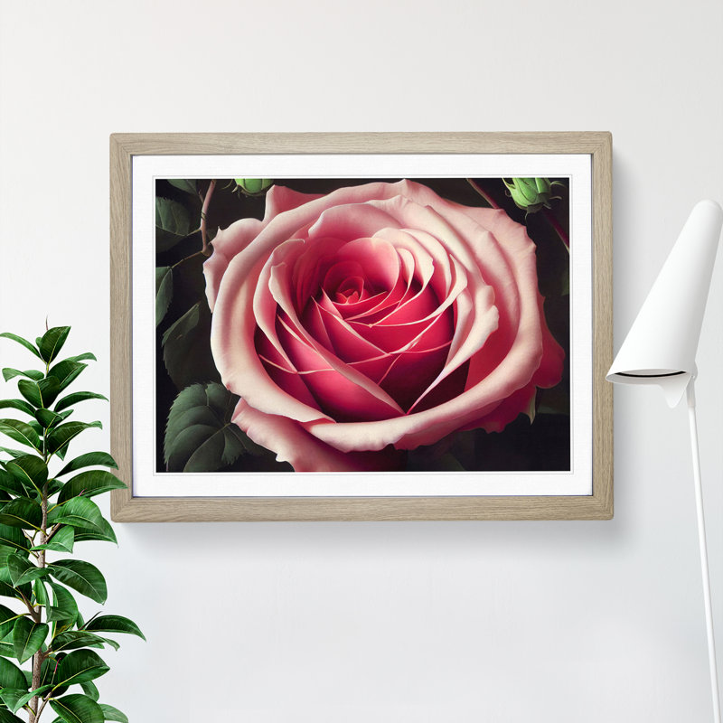 Sparkling Rose Flower - Framed Print, 46cm H x 64cm W x 2cm D, Oak