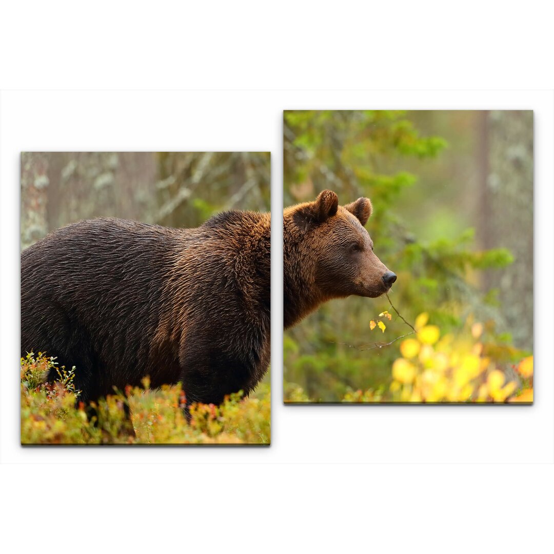 2-tlg. Leinwandbilder-Set Braunbär im Wald