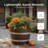 Winon Barrel Planter-1599564700-1599564702