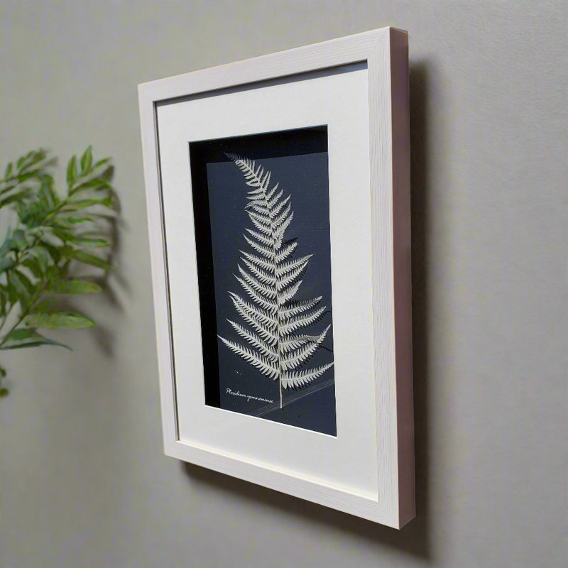 Botanical Shadow Box – Nature’s Imprint (12X16In)