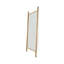 Polished Imperfect Mirror-628063978-660448046