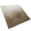 Kings Forest Lattice 17-5/8 In. X 17-5/8 In. Ceramic Floor And Wall Tile-570875791