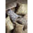 Dimartino Tassels Throw Pillow-25779164-25794508