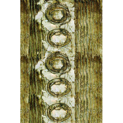 «Tall Texture Circles», impression sur toile tendue