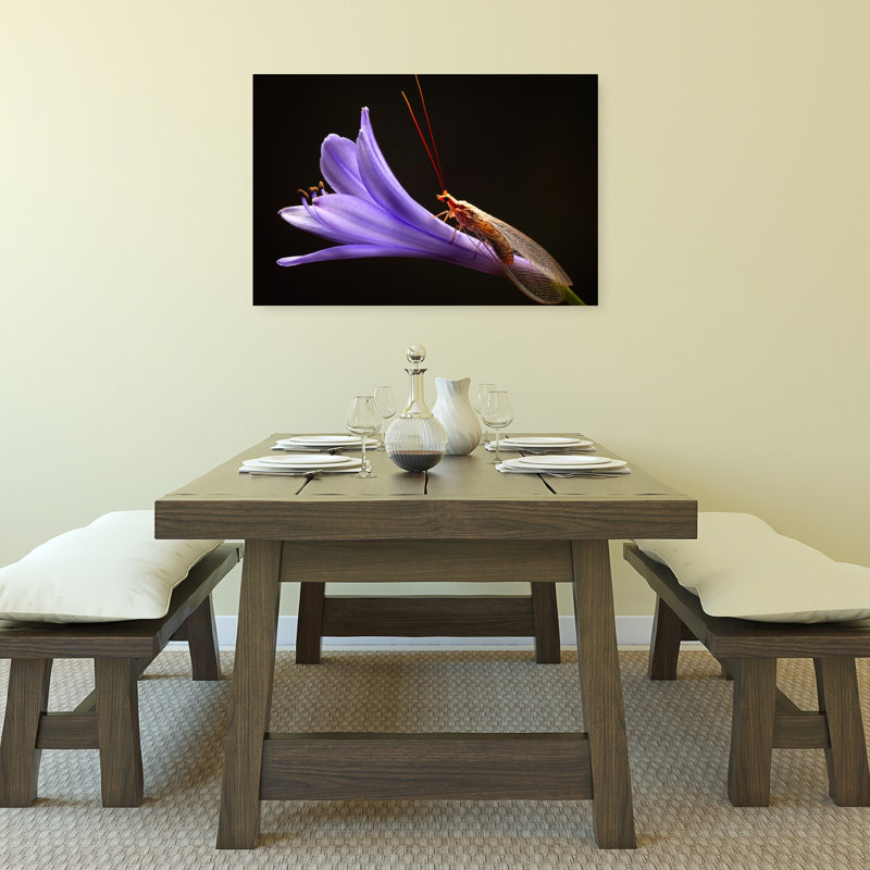 Lacewing On Purple Flower Delicate Vibrant Contemporary Violet Flower Nature Wall Art Print 1 Piece Wrapped Canvas Wall Art