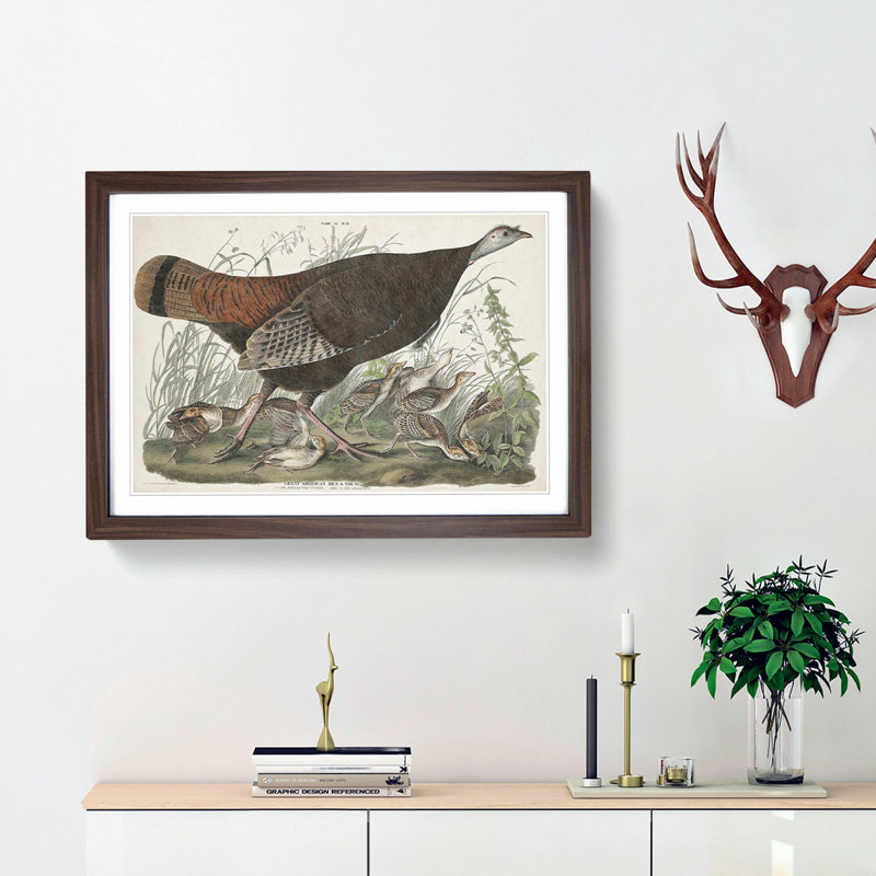 Great American Hen by John Audubon - Picture Frame Painting Print, 27cm H x 36cm W x 2cm D, Walnut Framed