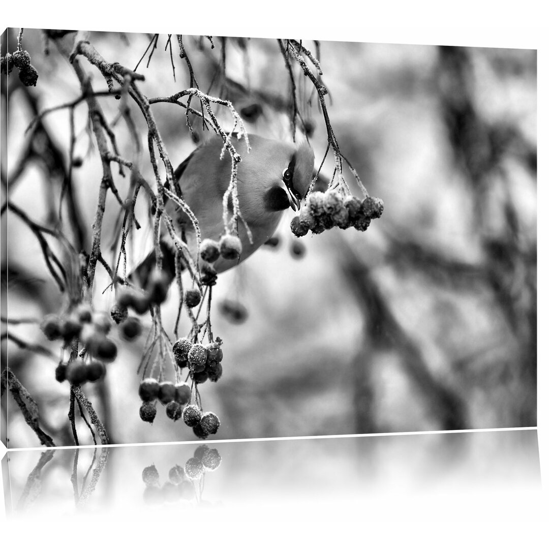 Leinwandbild Kleiner Vogel im Vogelbeerbaum in Monochrom