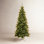 Fir Christmas Tree