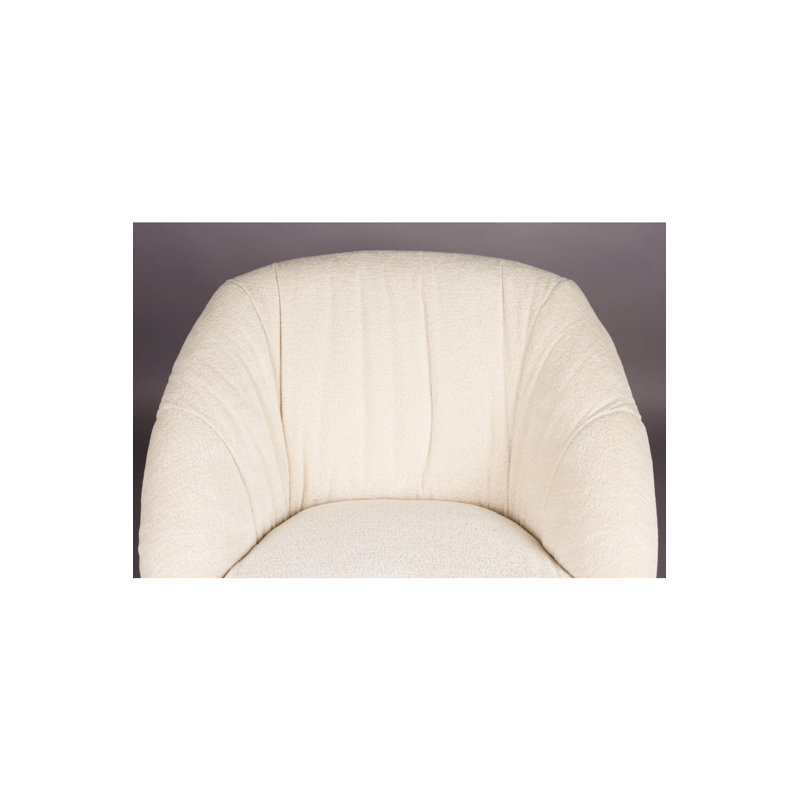 Accent Chair Lounge Chair