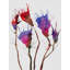 Tulips Print by Angel Estevez-71202811-132511214