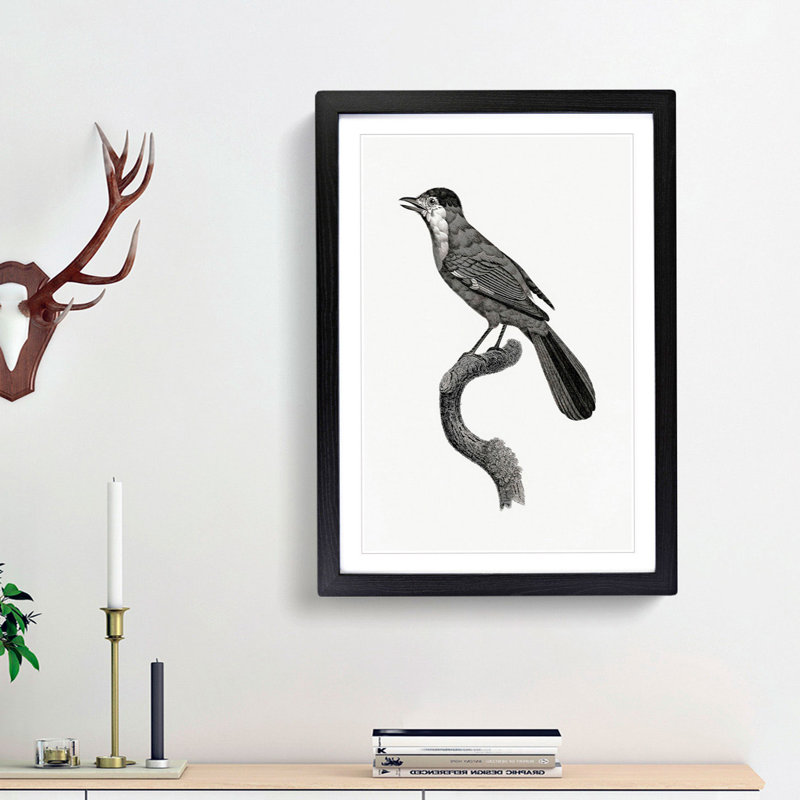 Golden Jay Bird by Jacques Barraband - Picture Frame Drawing Print, 65cm H x 48cm W x 2cm D, Black Framed