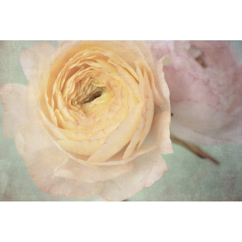 Judy Stalus - Wrapped Canvas Painting, 41cm H x 61cm W x 3.81cm D