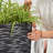 2-Pack Tall Tree Planter-1460680049-1412527688-1412527689