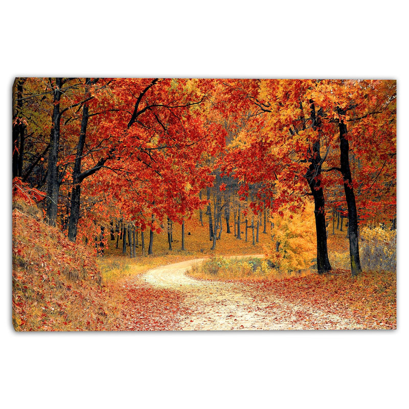 «Crimson Canopy Curve», art mural sur toile tendue, H 12 po x l 16 po