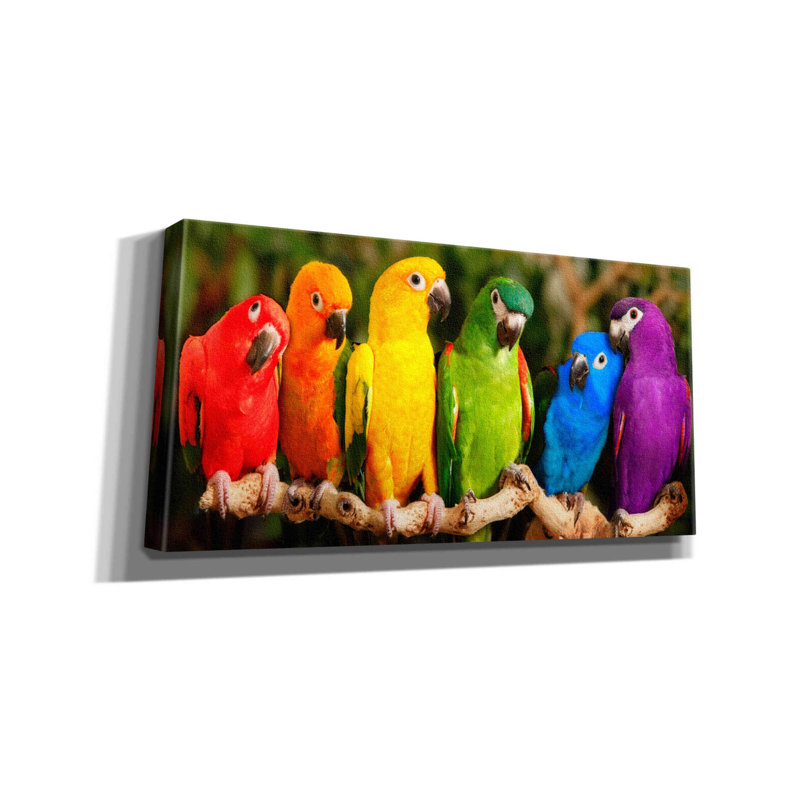 «Rainbow Parrots» par Mike Jones, estampe numérique sur toile, H 12 po x l 24 po x P 0,75 po