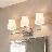 3-Light Dimmable Nickel Vanity Light