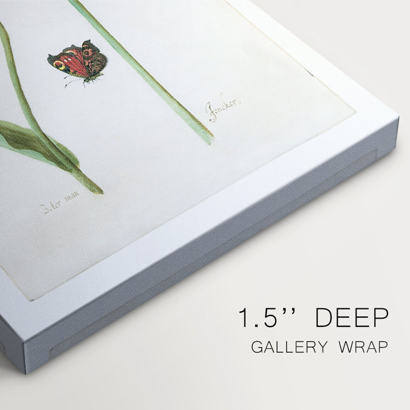 Deux tulipes I - galerie Cavas, H 18 po x l 12 po