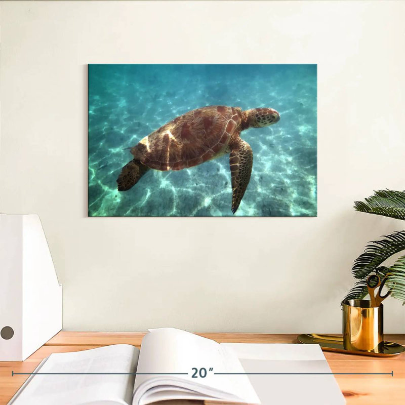 Brampt Endangered Hawksbill Turtle, 8'' H x 12'' W