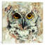 «Owl II», estampe numérique sur toile tendue avec châssis-21402844-71512094