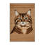  Tapis asiatique lavable à poils longs-2013848241