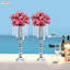 Toiles de fond et enseignes-97872271-97872270