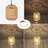 Plug In Pendant Light With LED Bulb