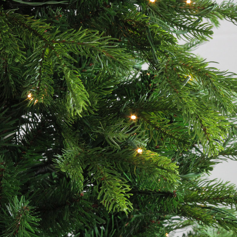 6' Pre-Lit Potted Oregon Noble Fir Slim Artificial Christmas Tree - Clear LED Lights