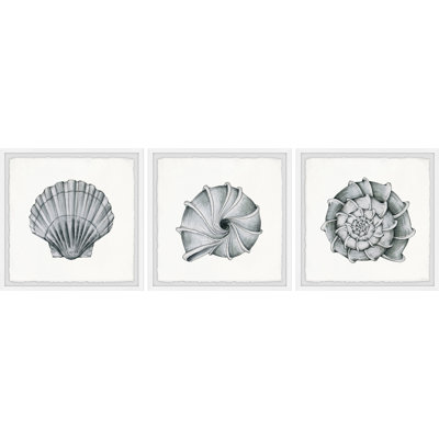«Pretty Shells» par Parvez Taj - ensemble de 3 reproductions de cadres photo