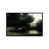 White Framed Canvas is unavailable