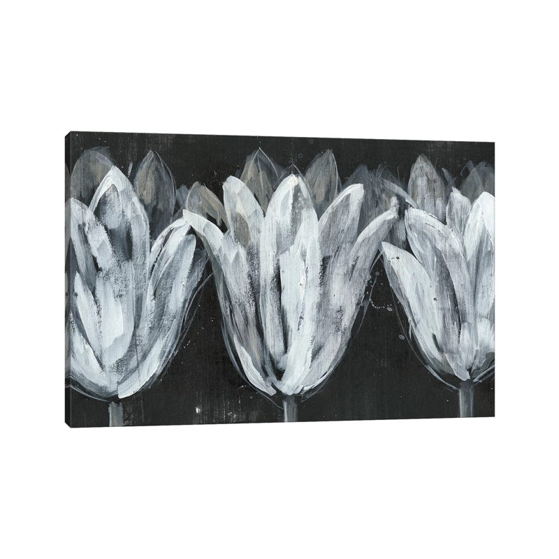 White Trio on Black I 1 Piece Wrapped Canvas Wall Art, 45.72cm H x 45.72cm W
