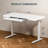 48'' W Adjustable Glass Electric Standing Desk with Drawer, USB  Ports
