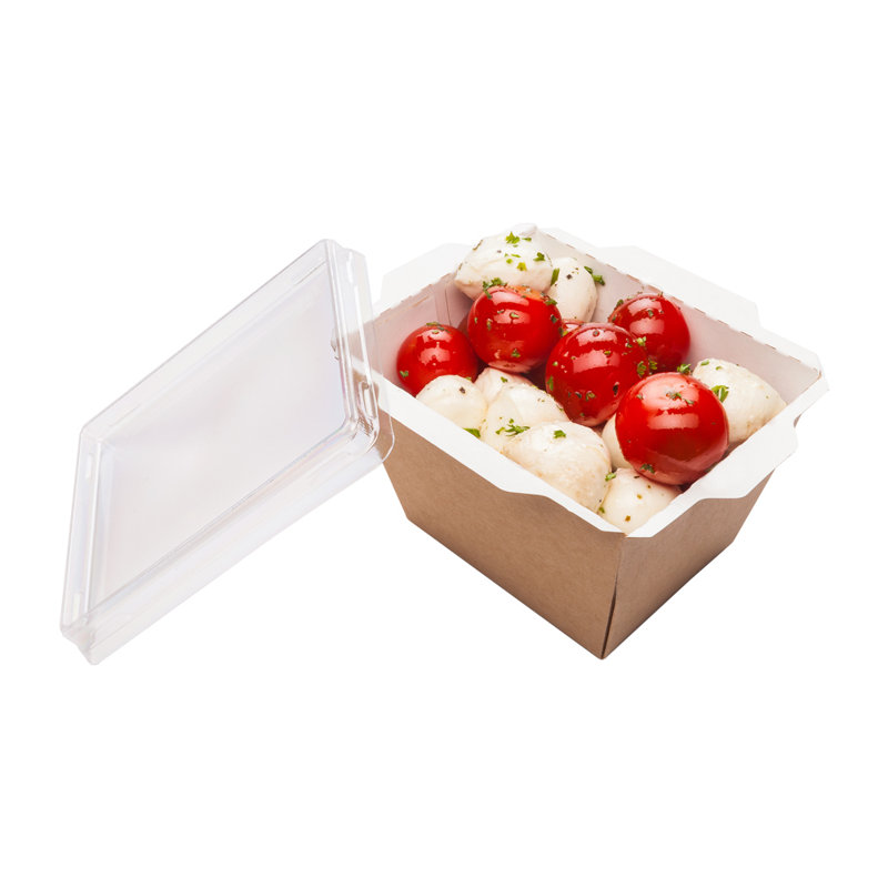 Café Vision Paper Disposable Tableware