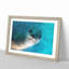 Face of a Seal - Framed Print-62802822-62802824