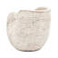 Boîte à fleurs texturée beige 8,5 po x 5,5 po x 6,3 po avec coquille de sable, convient à la plantation de jacinthe avec surface
