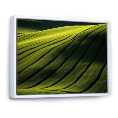 Photographie de prairie verdoyante