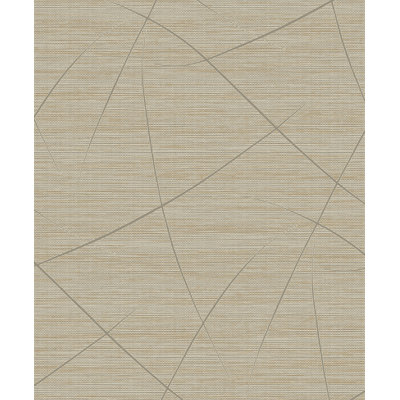  Papier peint non tissé non tissé Designs Caramel Bract