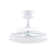 Levine 48'' Ceiling Fan with LED Lights