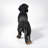 26'' Realistic Dachshund Garden Statue Resin Dog Sculpture