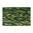 Nature Green Indoor and Outdoor Area Rug-127240467