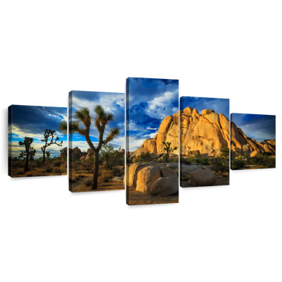 Joshua Tree Park Old Woman Rock
