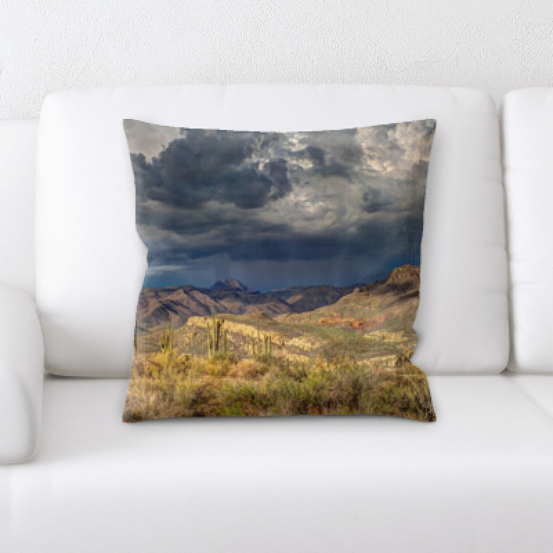 Weinberger Microsuede Throw Pillow